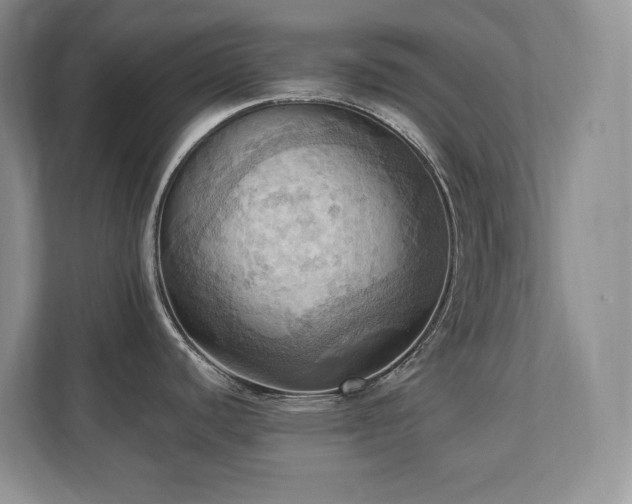 X0000111361440200907101221
