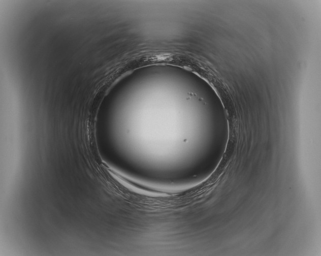 X0000111361442200907101221