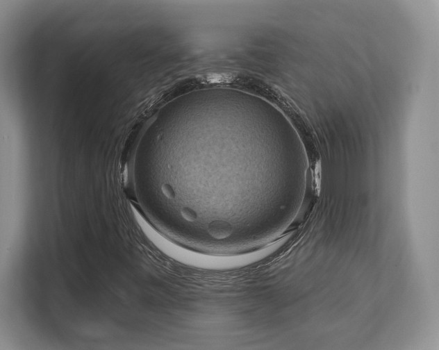 X0000111361443200907101221