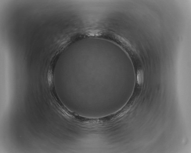 X0000111361444200907101221
