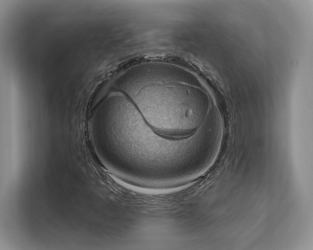 X0000111361445200907101221