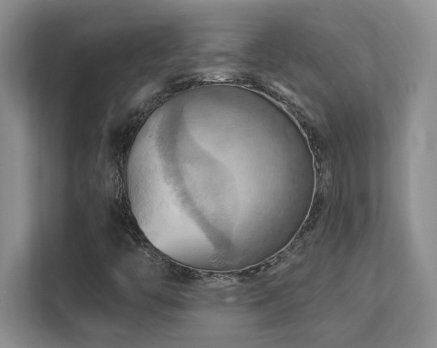 X0000111361446200907101221