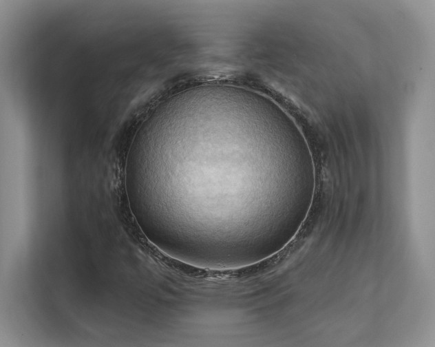 X0000111361447200907101221