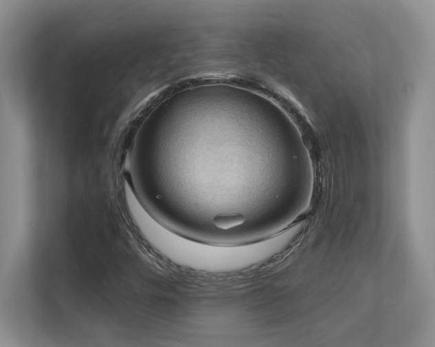 X0000111361448200907101221