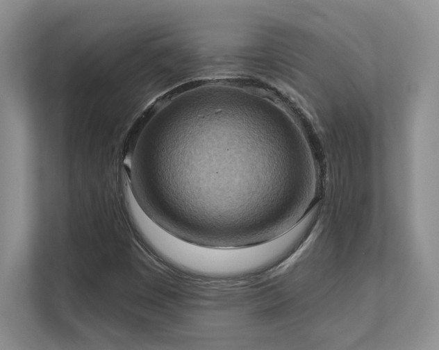 X0000111361449200907101221