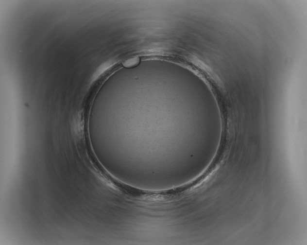 X0000111361450200907101221