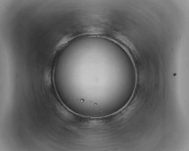 X0000111361451200907101221