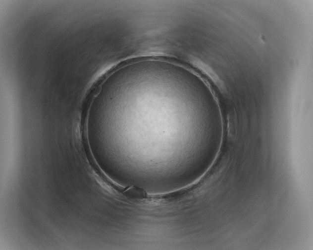 X0000111361452200907101221