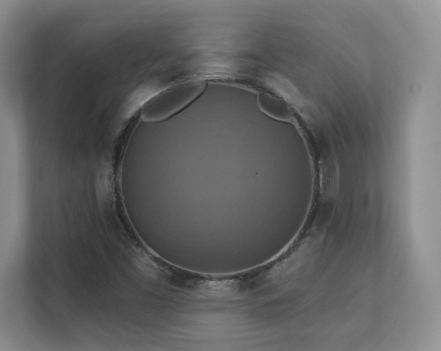 X0000111361453200907101221