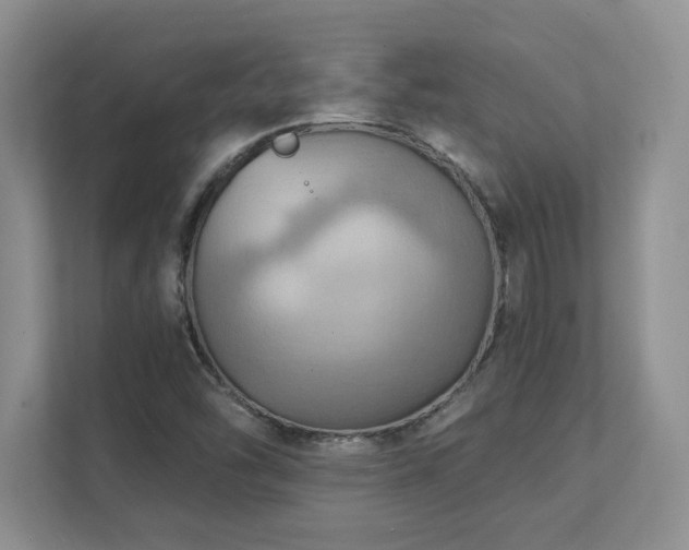 X0000111361454200907101221
