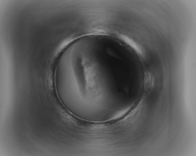X0000111361455200907101221