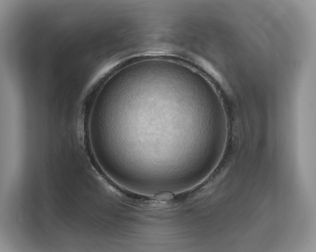 X0000111361456200907101221