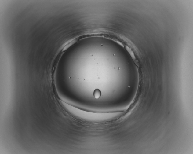 X0000111361457200907101221