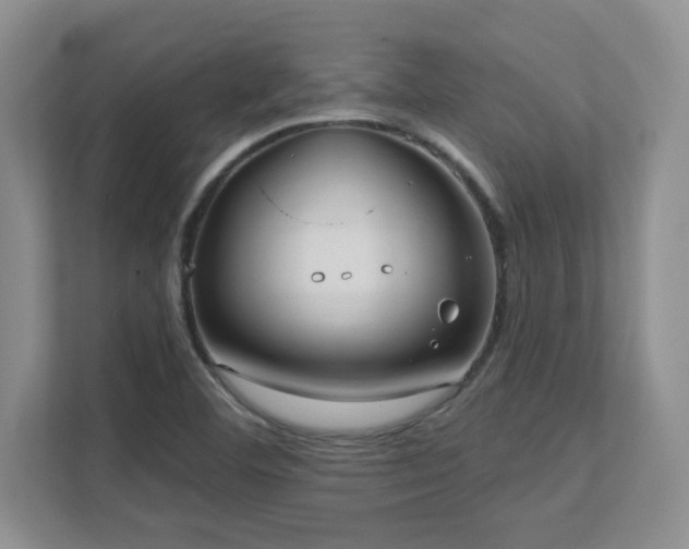 X0000111361460200907101221