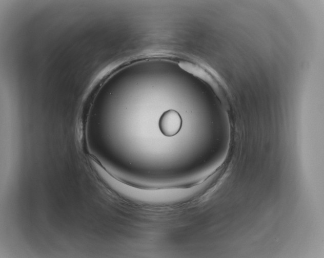 X0000111361461200907101221
