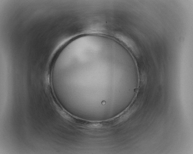 X0000111361462200907101221