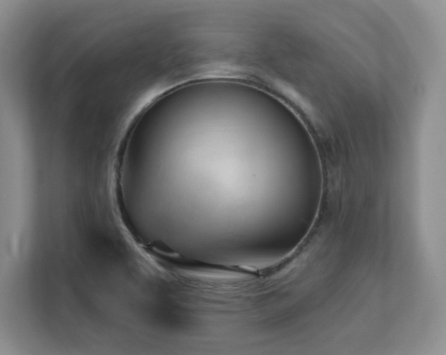 X0000111361463200907101221