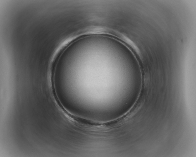 X0000111361464200907101221