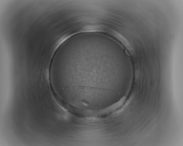 X0000111361465200907101221
