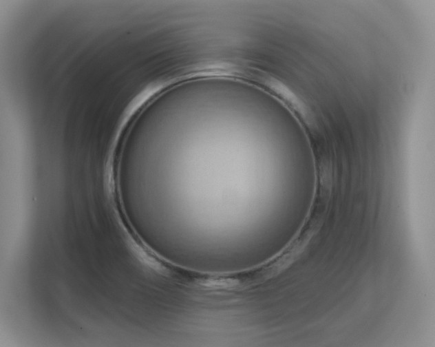 X0000111361466200907101220
