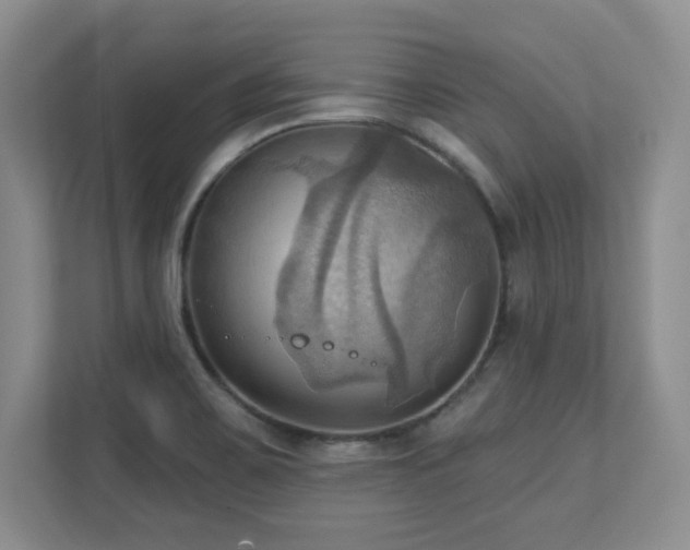 X0000111361467200907101220