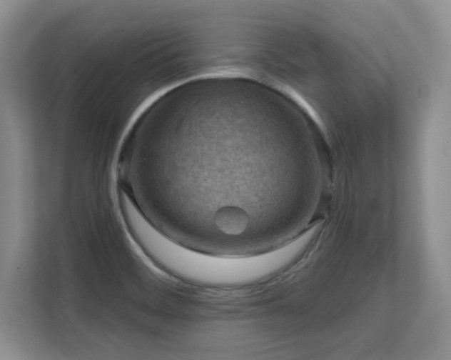 X0000111361468200907101220