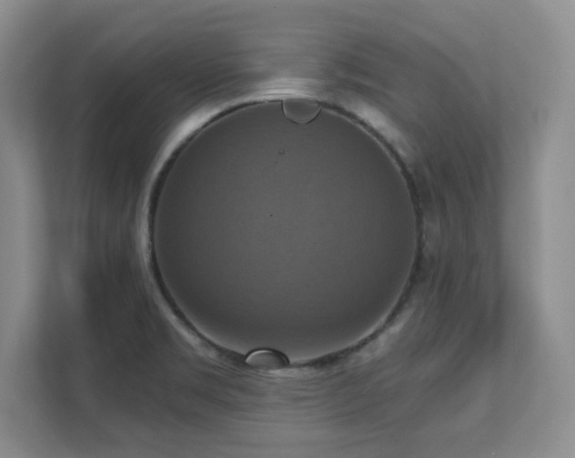 X0000111361469200907101220