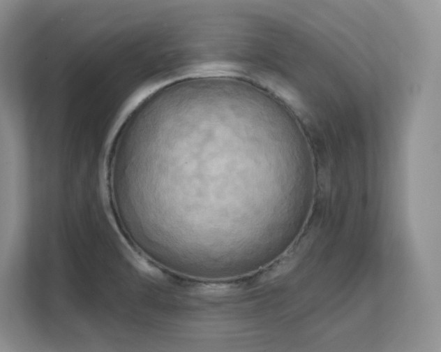 X0000111361470200907101220