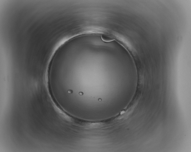 X0000111361471200907101220