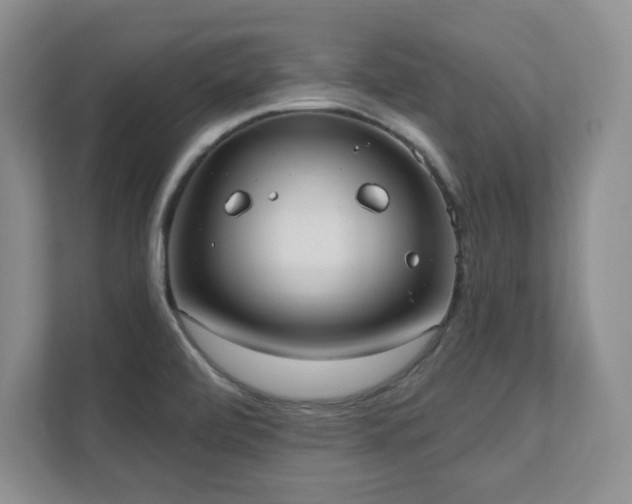 X0000111361472200907101220