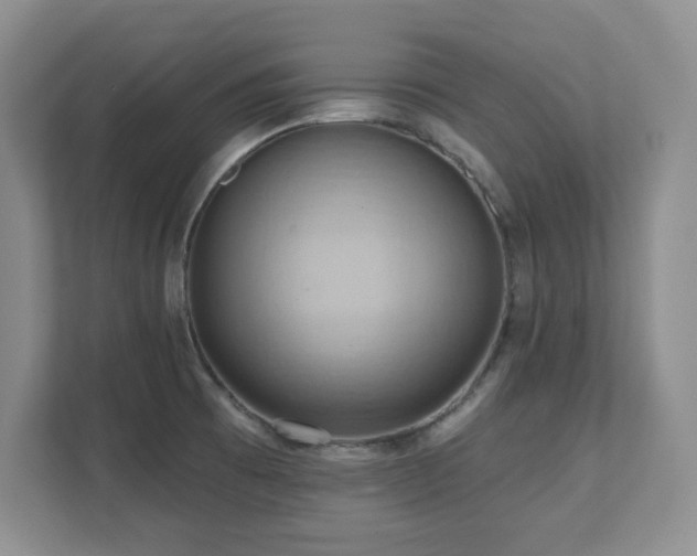 X0000111361473200907101220