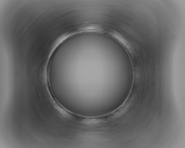 X0000111361474200907101220