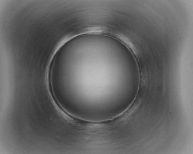 X0000111361475200907101220