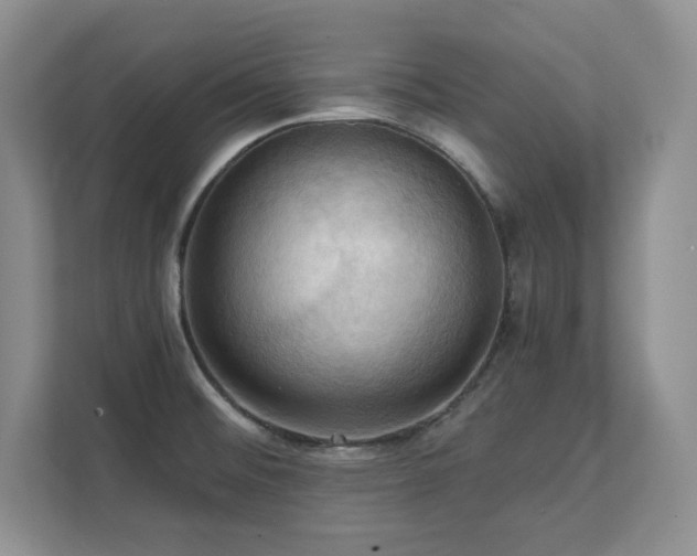 X0000111361476200907101220
