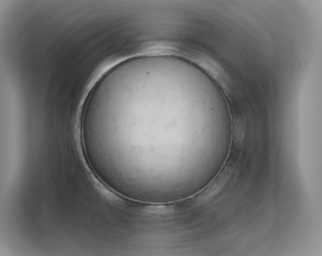 X0000111361478200907101220
