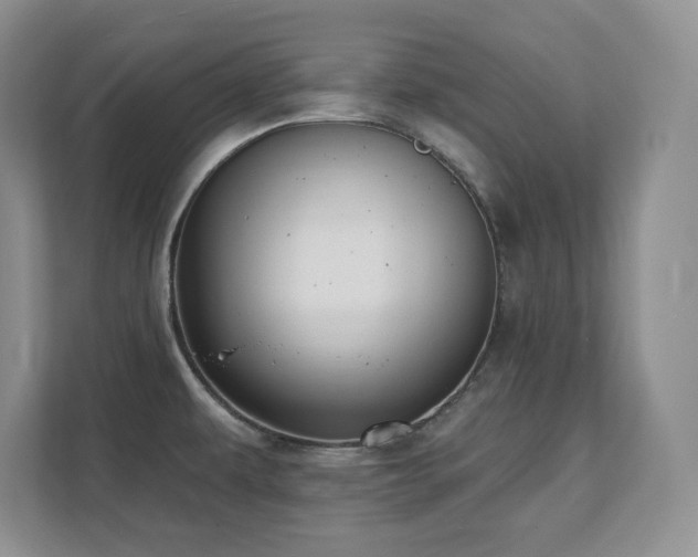 X0000111361479200907101220