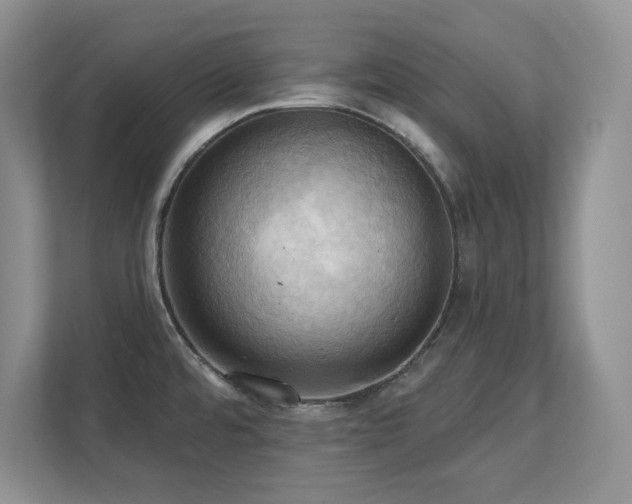 X0000111361480200907101220