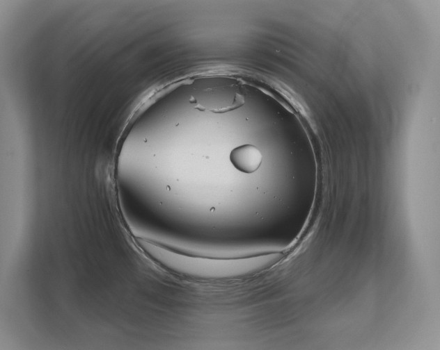 X0000111361481200907101220