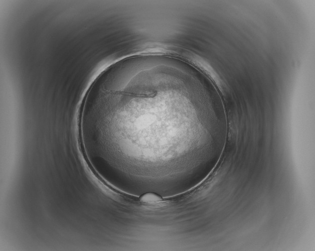 X0000111361483200907101220