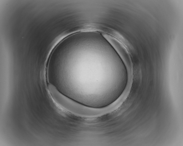 X0000111361484200907101220