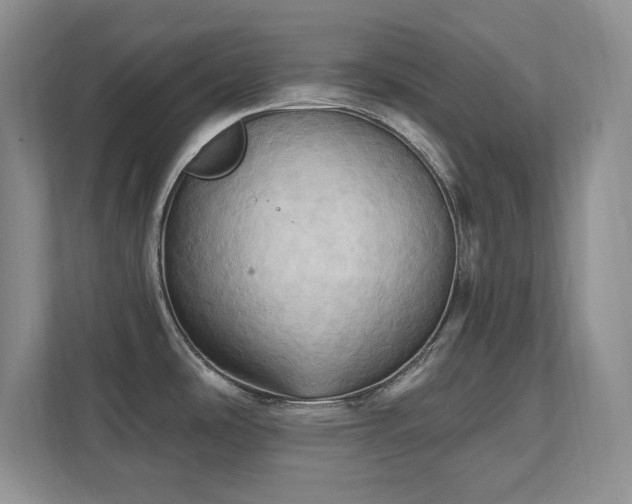 X0000111361486200907101220