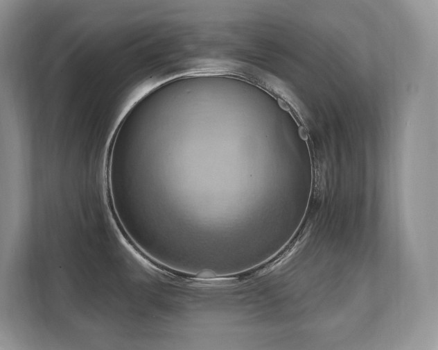 X0000111361487200907101220
