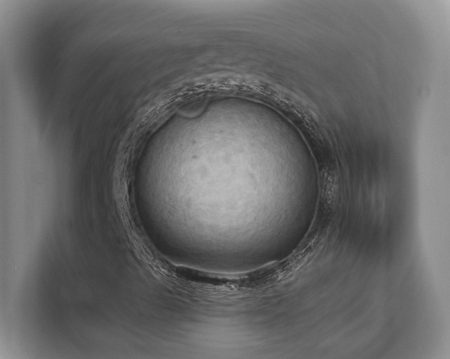 X0000111361489200907101220