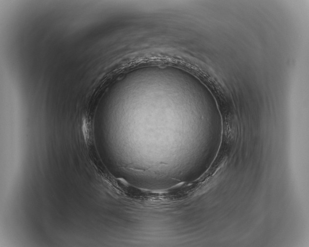 X0000111361490200907101220