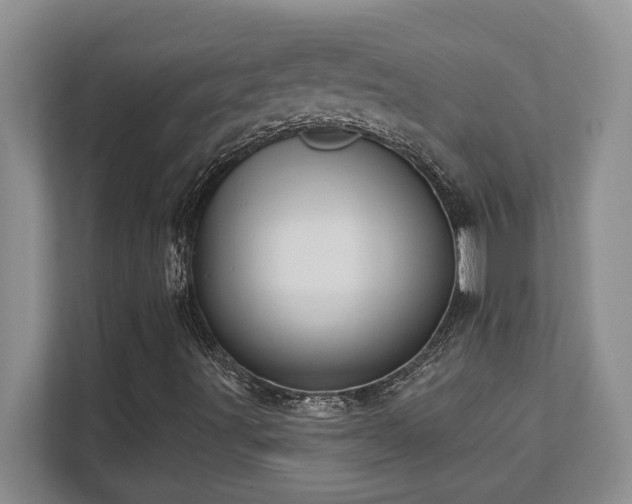 X0000111361491200907101220