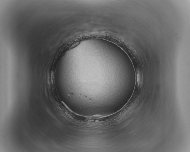 X0000111361492200907101220