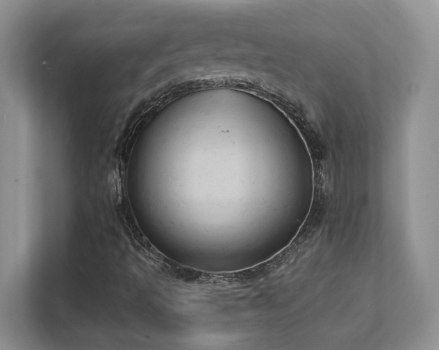 X0000111361493200907101220