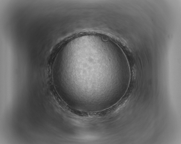 X0000111361494200907101220