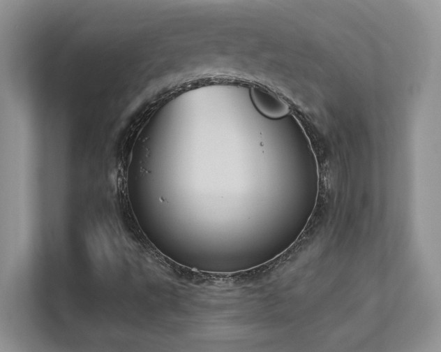 X0000111361495200907101220