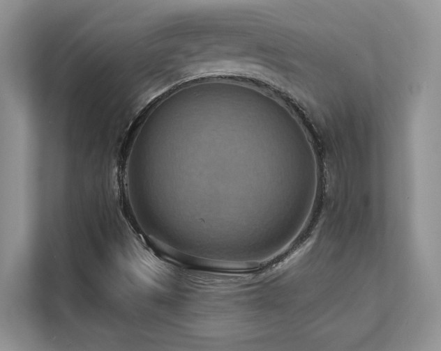 X0000111361497200907101220
